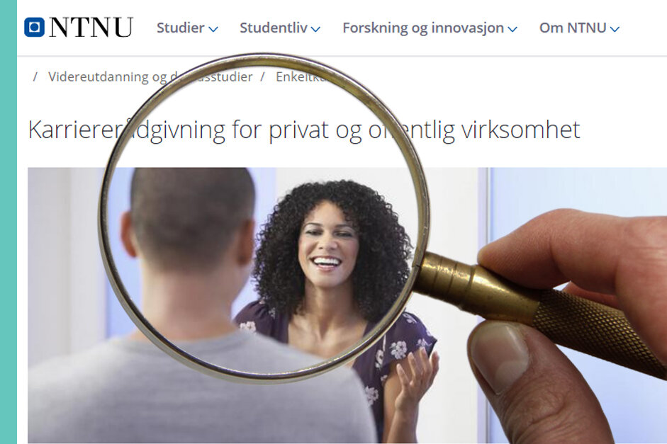 Bildertilartikkelomkvalitetsstandardene Bildertilartikkelomkvalitetsstandardene